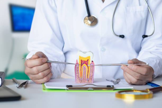 Best Emergency Treatment for Toothache in Olympia Fields, IL